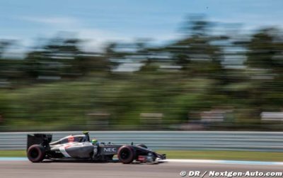 Hungary 2014 - GP Preview - Sauber Ferrari