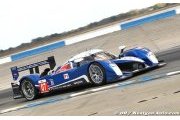 Minassian at the front for Peugeot after four hours