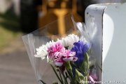 Two F1 figures defend Bianchi silence