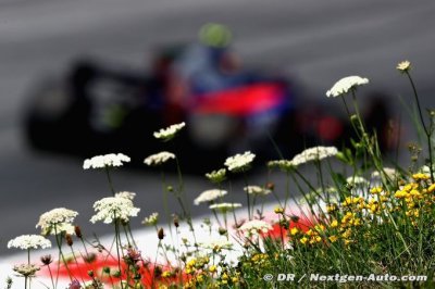 Red Bull takes up option on Sainz contract
