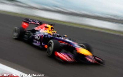 Vettel wins on home ground!