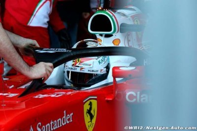 ’Halo’ decision must be made soon - FIA