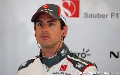 Bilan F1 2014 - Adrian Sutil