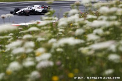 Stroll a tenté de ’survivre’ dans sa Williams