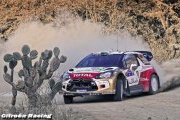 Photos - WRC 2013 - Rallye du Portugal