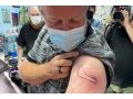 Brown : Un tatouage sur Monza pour surpasser sa phobie des aiguilles