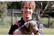 Vettel s'est offert un cadeau pour son titre