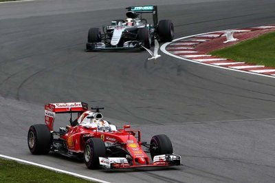 Vettel et les mouettes suicidaires...