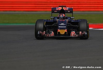Belgium 2016 - GP Preview - Toro Rosso Ferrari