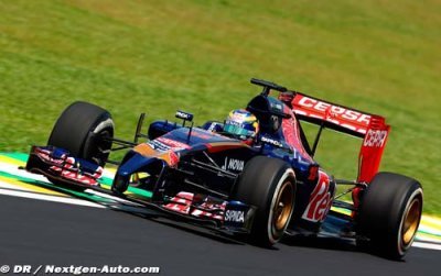 Abu Dhabi 2014 - GP Preview - Toro Rosso Renault