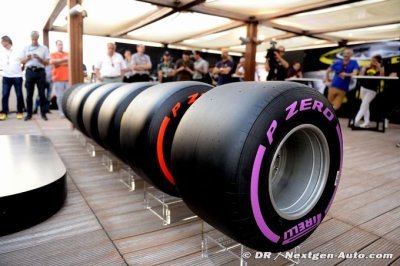 2017 to be ’transition year’ for tyres - Hembery