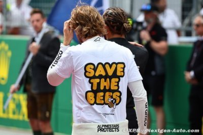 Vettel to ’save bees’ rather than race - Berger