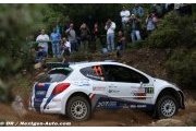 Peugeot ace Andreucci wants more IRC starts