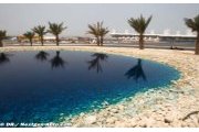 F1's Bahrain debacle leaves sport in the shadows