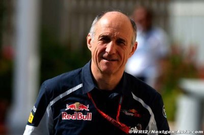 Toro Rosso a trouvé sa vitesse de croisière