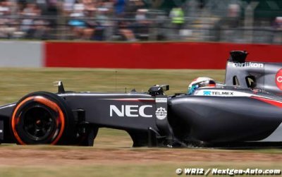 Sutil&nbsp;: la Sauber C33 est une diva