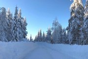 Sweden's winter wonderland before WRC event