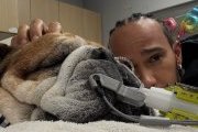 Hamilton partage de mauvaises nouvelles concernant la santé de Roscoe