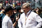 F1 supports Hamilton's political views