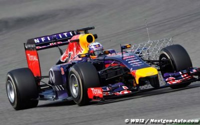 Ricciardo, le fier régional de l’étape australienne