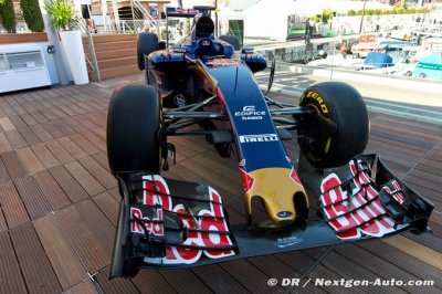 Une Toro Rosso au bleu plus clair&nbsp;?