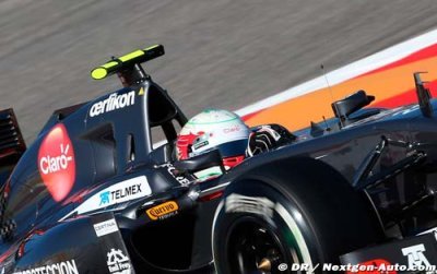Brazil 2014 - GP Preview - Sauber Ferrari