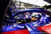 Canada 2019 - GP preview - Toro Rosso
