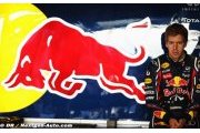 Pirelli cherche une explication à la crevaison de Vettel