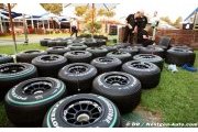 No more extreme tyre allocations for 2010