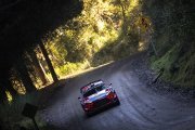 Neuville a déjà tourné la page de son crash au Chili