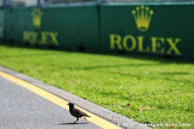 Ralf Schumacher juge la F1 plus écologique que la Formule E