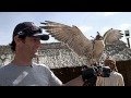 Video - Mark Webber on Desert Safari in Abu Dhabi