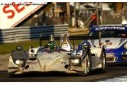 Une bonne tenue des châssis HPD ARX-03 à Sebring