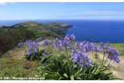 IRC Rally Azores preview : Event essentials