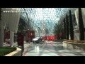 Video - Scuderia Ferrari news before the Abu Dhabi GP
