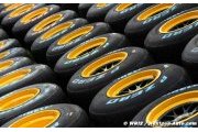 Pirelli's tyre wear defence 'a bluff' - Panis