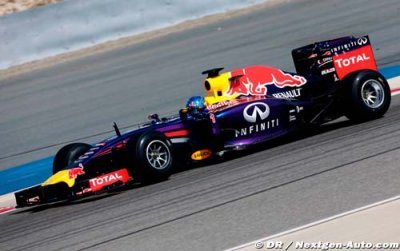 Derniers essais cruciaux pour Red Bull, Ricciardo et Vettel