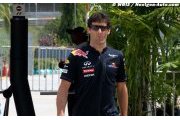 Les petites contrariétés de Mark Webber