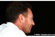 Tyre rules may not spice up F1 - Horner