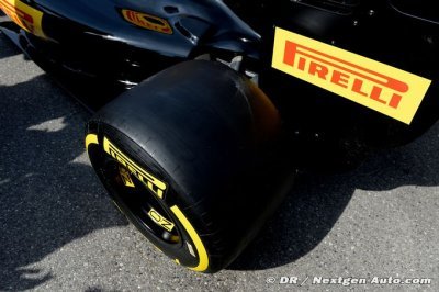 Maldonado pourrait donner un coup de main à Pirelli pour 2017