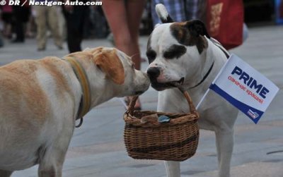 Exciting entry list for IRC Prime Yalta Rally