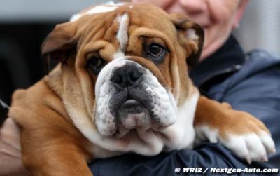 Le chien d’Hamilton a le droit à un pass paddock