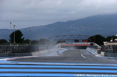 Hamilton will like Paul Ricard more - boss
