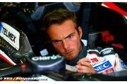 Van der Garde has no super licence - report