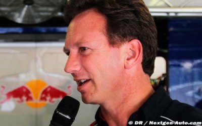 Horner: Ricciardo is very fast