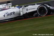Les fans hongrois célèbrent toujours Massa après l'accident de 2009