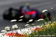 Red Bull takes up option on Sainz contract