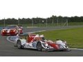 Objectif 24h du Mans et ELMS pour le Sébastien Loeb Racing