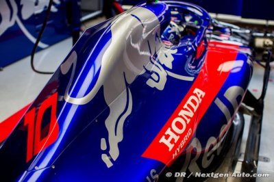 Honda ’perfect’ at Toro Rosso so far - Hartley