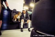 Hamilton denies training less than rivals